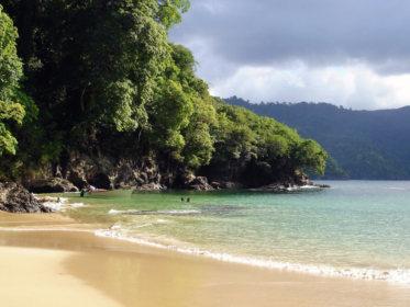 Windrush 26: Rehearsed Reading